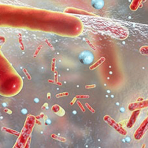 Incroyable: Comment optimiser la prescription d'antibiotiques pour une santé de f61e3e6193556aa1e3e6193556e1e3v