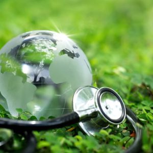Incroyable! Découvrez ce questionnaire en ligne sur les soins écoresponsables! soins ecoresponsables questionnaire