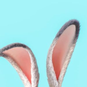 Doctolib dit NON à la "taxe lapin" - Découvrez pourquoi taxe lapin reactions